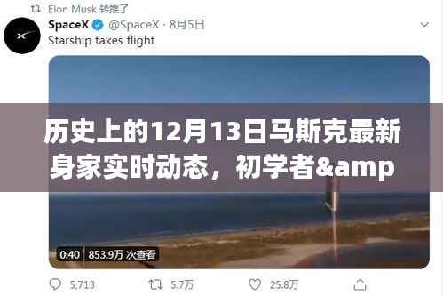 揭秘马斯克最新身家动态,历史上的12月13日追踪详解与初学者进阶指南