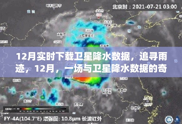 雍荣闲雅 第2页