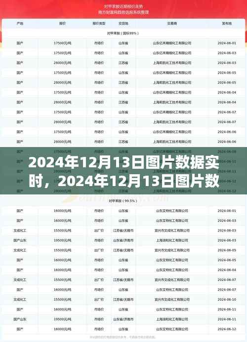 2024年12月13日图片数据实时获取与处理步骤指南,从初学者到进阶用户的全面指南