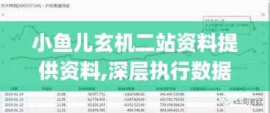 小鱼儿玄机二站资料提供资料,深层执行数据策略_soft5.795