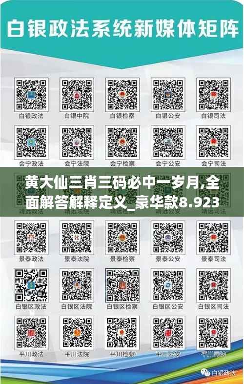 黄大仙三肖三码必中一岁月,全面解答解释定义_豪华款8.923