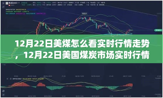 深度解析,美国煤炭市场实时行情走势分析(12月22日)