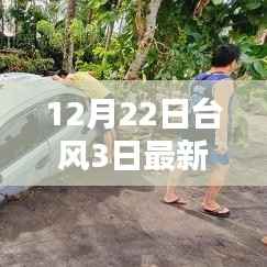 深度解析与案例分析,最新台风实时路线动态及案例分析(截至12月22日)