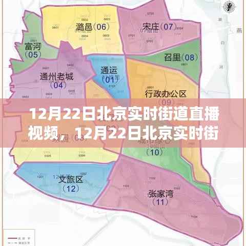 穷鸟入怀 第2页