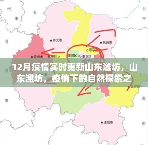 山东潍坊疫情下的自然探索之旅,寻找内心的宁静与力量,实时更新疫情动态