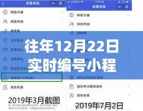 冬日智慧,实时编号小程序奇妙旅程,教你玩转往年12月22日实时编号小程序!