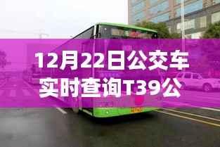 科技革新出行体验,实时追踪T39公交,智能出行新时代开启