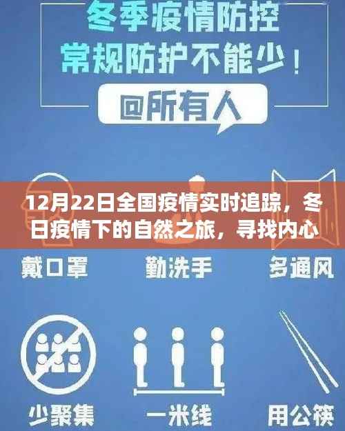 12月22日全国疫情实时追踪,冬日自然之旅中的内心宁静与平和寻找
