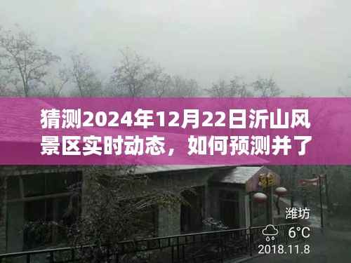 沂山风景区未来动态预测,揭秘如何了解与预测2024年12月22日实时动态指南
