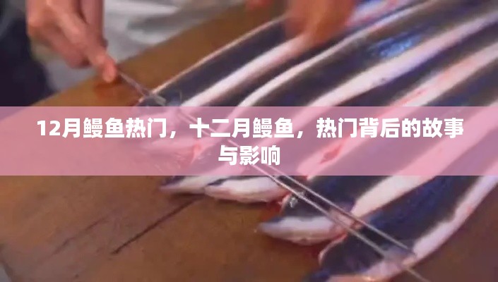 明目张胆 第3页