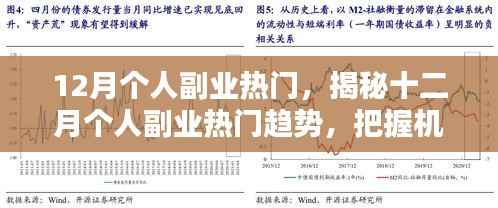 揭秘十二月个人副业热门趋势,开启多元收入模式,把握年末机遇!