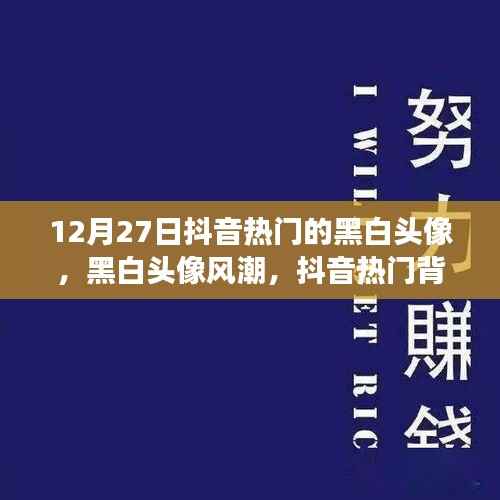 抖音热门背后的文化现象,黑白头像风潮探析