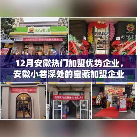 安徽特色加盟企业探寻，宝藏小店的无限魅力与独特优势