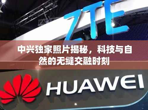 中兴独家照片揭秘,科技与自然的无缝交融时刻