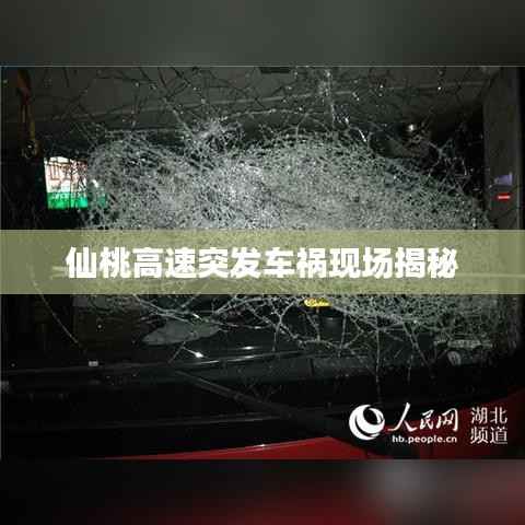 仙桃高速突发车祸现场揭秘