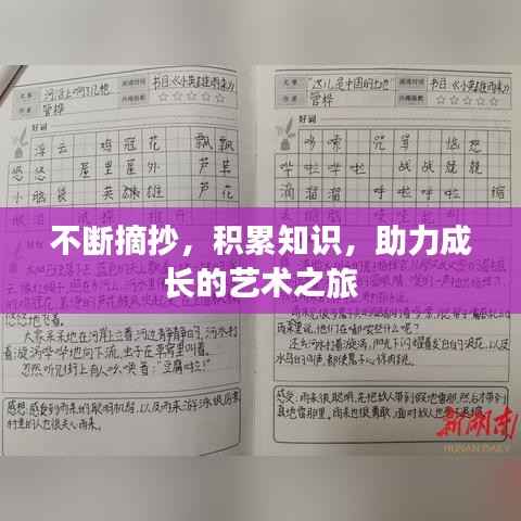 不断摘抄,积累知识,助力成长的艺术之旅