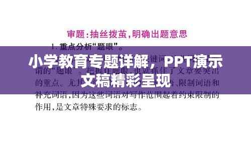 小学教育专题详解，PPT演示文稿精彩呈现