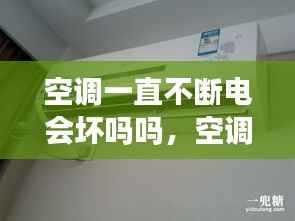 洵属可贵 第2页