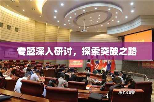 专题深入研讨,探索突破之路