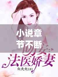 澹泊明志 第2页