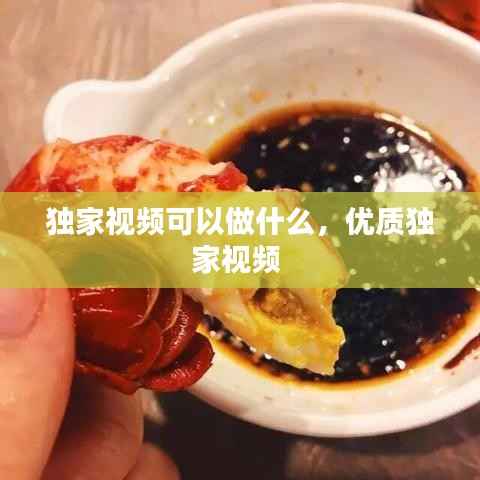 独家视频可以做什么,优质独家视频