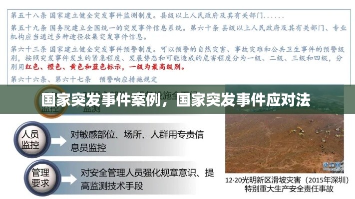国家突发事件案例，国家突发事件应对法 