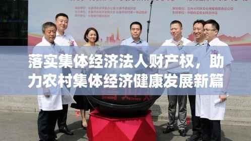 落实集体经济法人财产权,助力农村集体经济健康发展新篇章