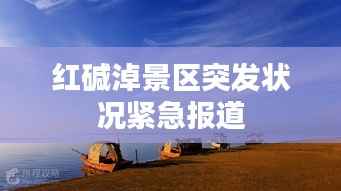 空前绝后 第2页