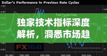 布衣蔬食 第2页