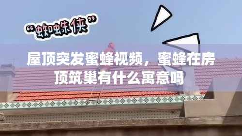 束手就擒 第2页
