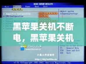 黑苹果关机不断电，黑苹果关机不断电和主板bios设置有关系吗 