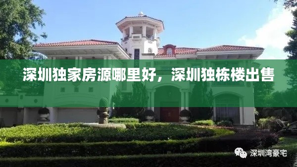 深圳独家房源哪里好,深圳独栋楼出售