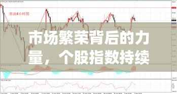 市场繁荣背后的力量,个股指数持续创新高驱动力解析