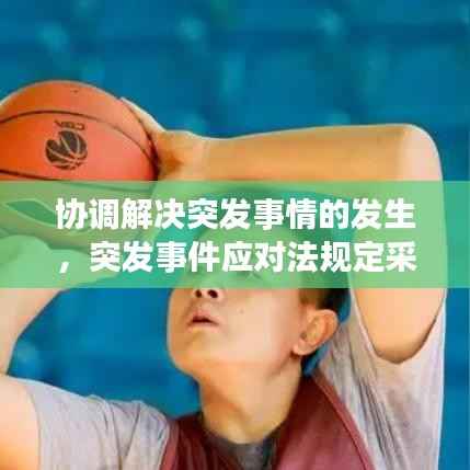 协调解决突发事情的发生,突发事件应对法规定采用调解