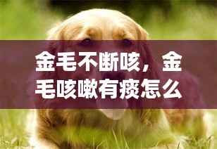 绝无仅有 第2页