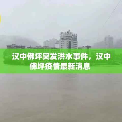 真独简贵 第2页