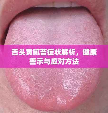舌头黄腻苔症状解析,健康警示与应对方法