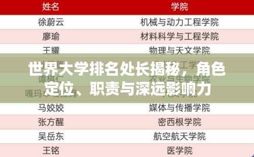 世界大学排名处长揭秘,角色定位、职责与深远影响力