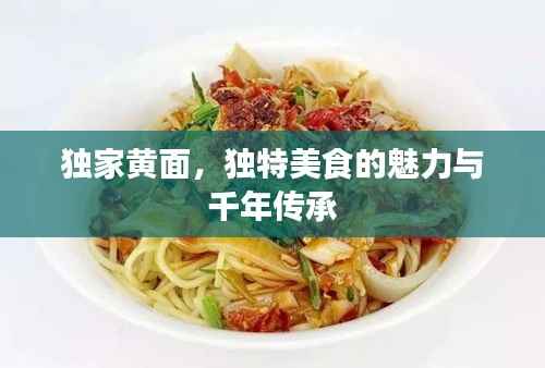 独家黄面,独特美食的魅力与千年传承