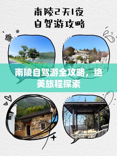 长颈鸟喙 第2页