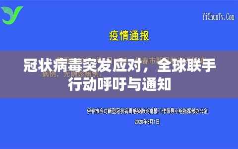 鸟吏鳖官 第2页
