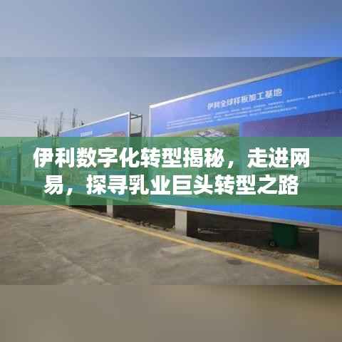 伊利数字化转型揭秘，走进网易，探寻乳业巨头转型之路