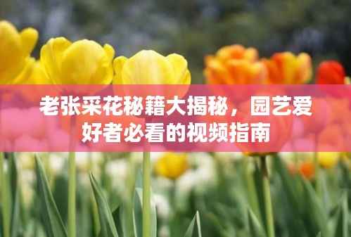 老张采花秘籍大揭秘，园艺爱好者必看的视频指南
