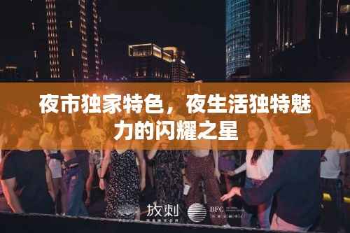 夜市独家特色,夜生活独特魅力的闪耀之星