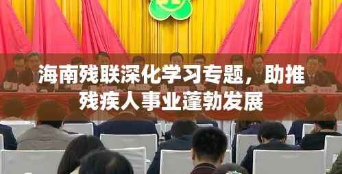 海南残联深化学习专题,助推残疾人事业蓬勃发展