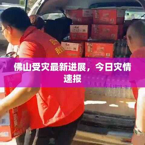 佛山受灾最新进展,今日灾情速报