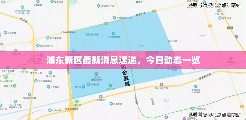 浦东新区最新消息速递,今日动态一览