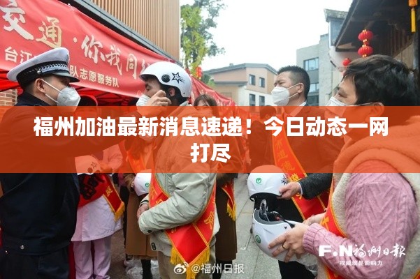 福州加油最新消息速递!今日动态一网打尽