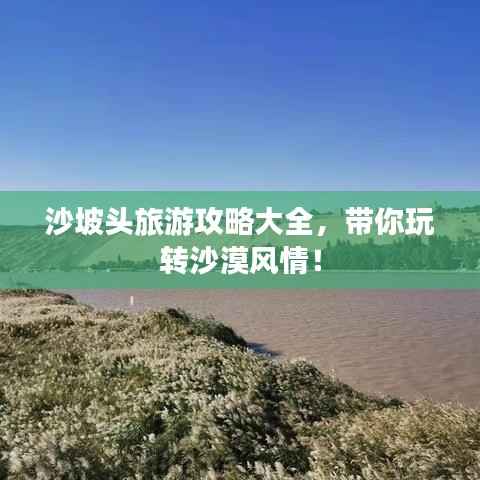 粗心大意 第2页