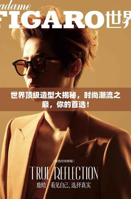 世界顶级造型大揭秘,时尚潮流之巅,你的首选!